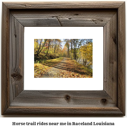 horse trail rides near me in Raceland, Louisiana